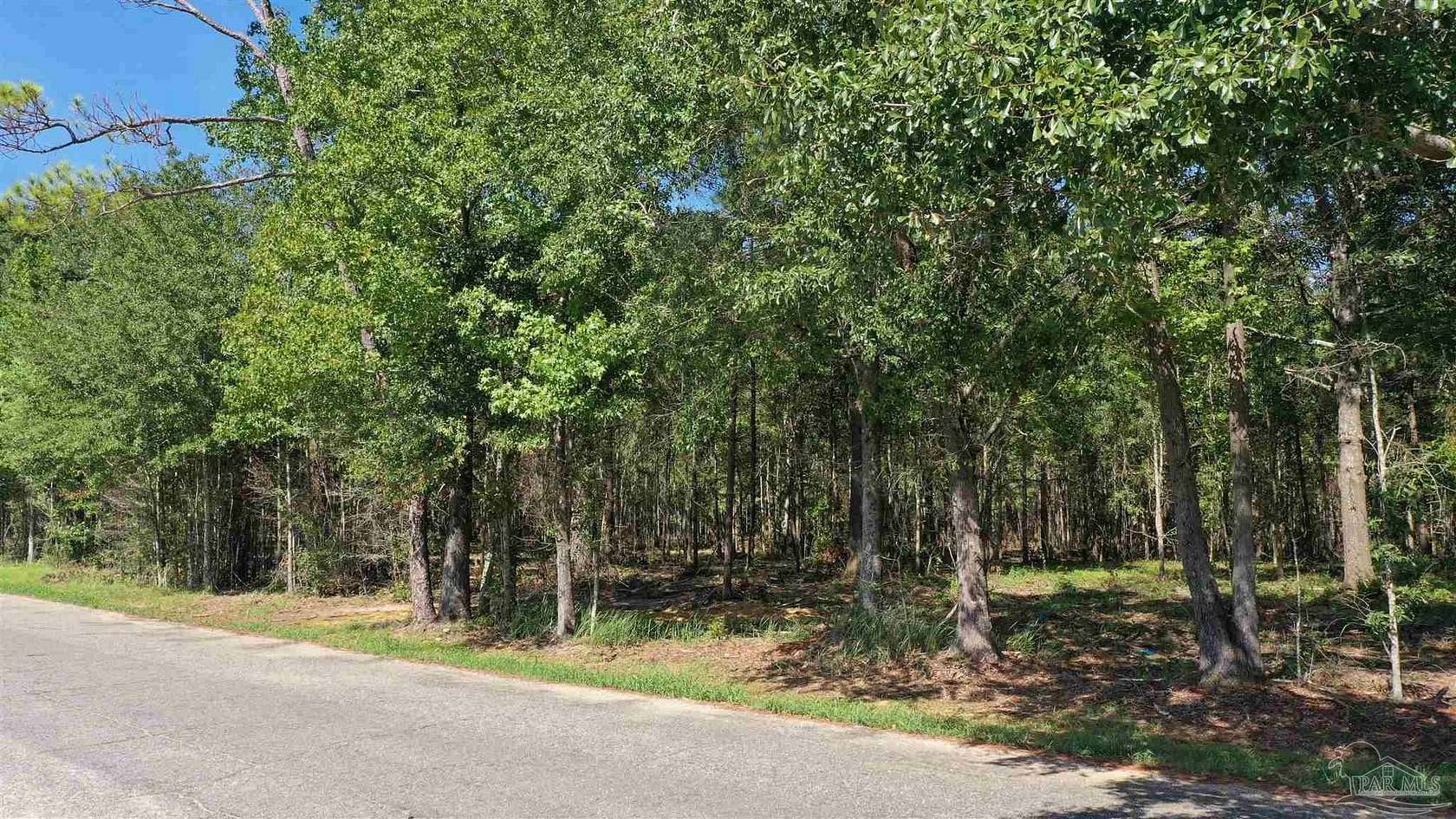 13.1 Acres of Land for Sale in Atmore, Alabama