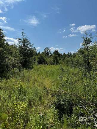 Land for Sale in Flomaton, Alabama