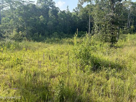 4.1 Acres of Residential Land for Sale in Kiln, Mississippi