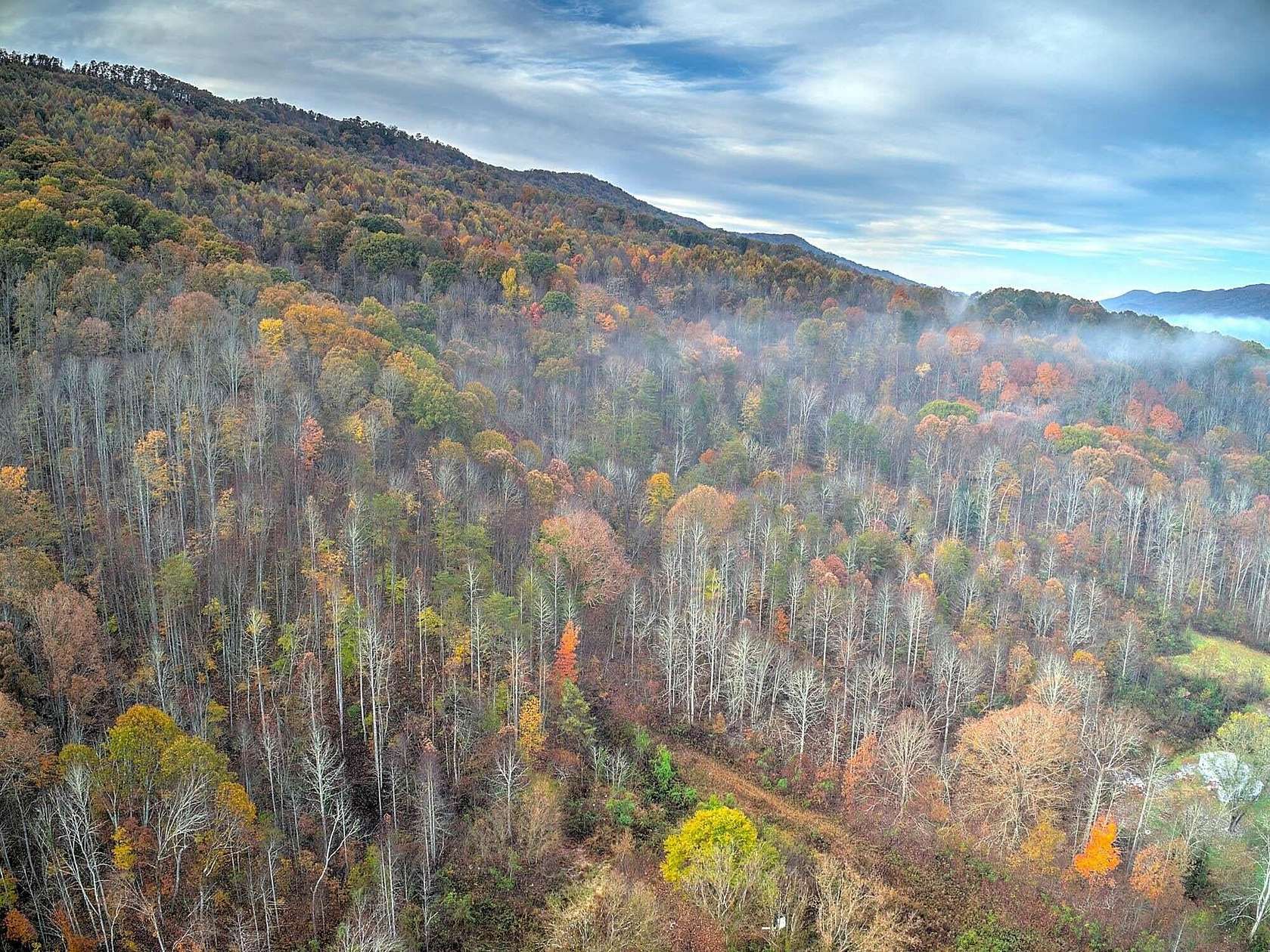 112 Acres of Recreational Land for Sale in Rogersville, Tennessee