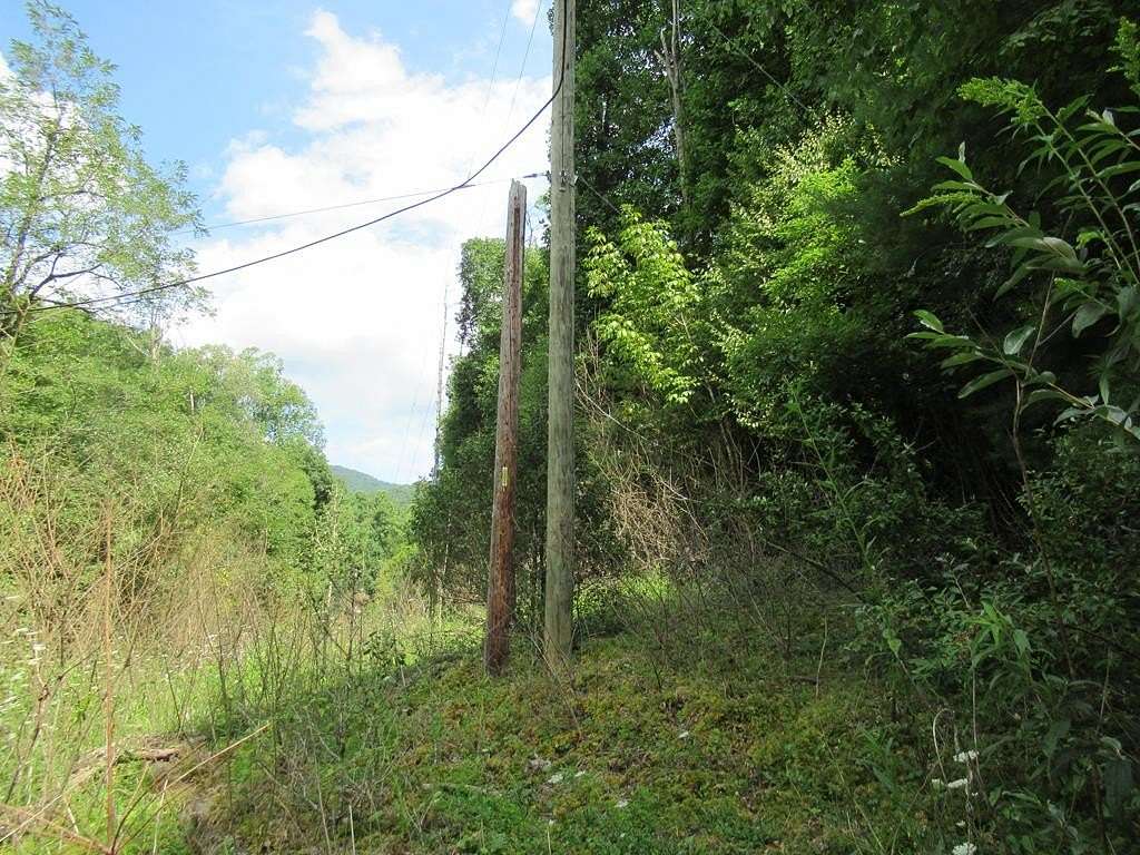 37 Acres of Land for Sale in Franklin, North Carolina