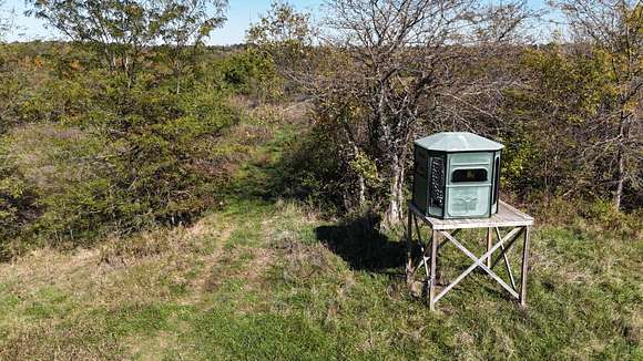 85 Acres of Land for Sale in Ewing, Kentucky