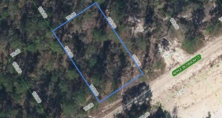 0.218 Acres of Residential Land for Sale in Lake Placid, Florida