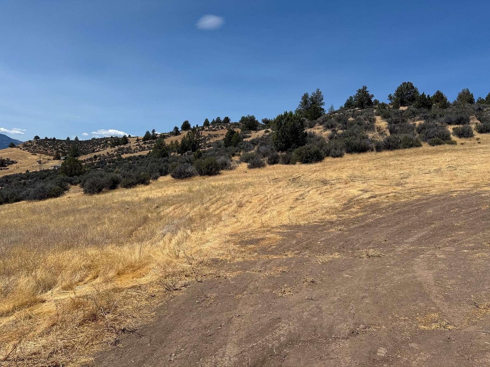 1 Acre of Land for Sale in Hornbrook, California