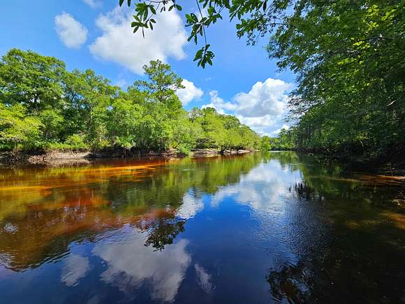 142.69 Acres of Recreational Land for Sale in Nahunta, Georgia