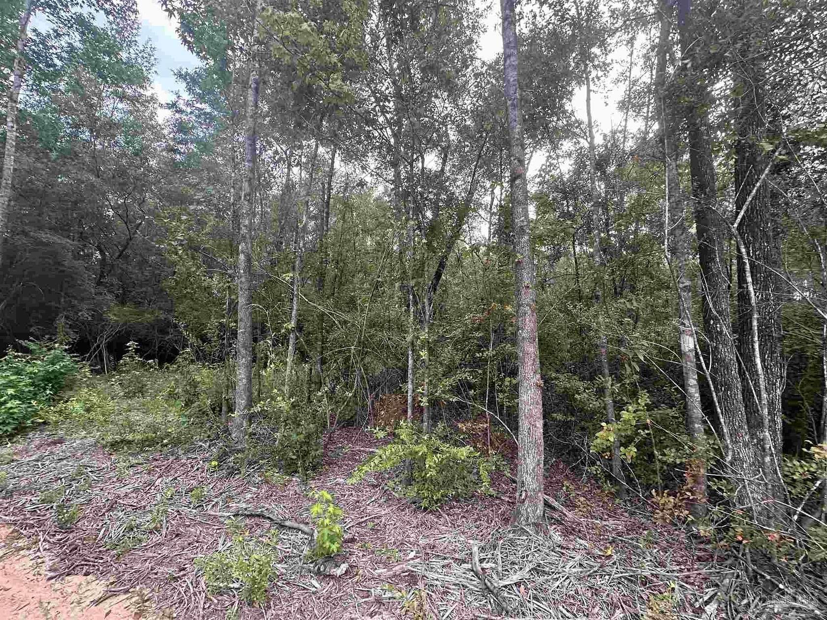 2 Acres of Residential Land for Sale in Milton, Florida