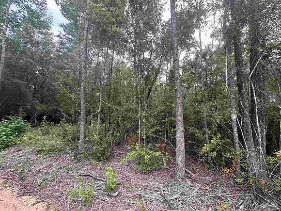 2 Acres of Residential Land for Sale in Milton, Florida