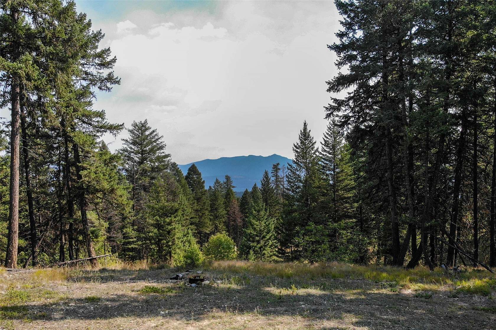 5 Acres of Residential Land for Sale in Fortine, Montana