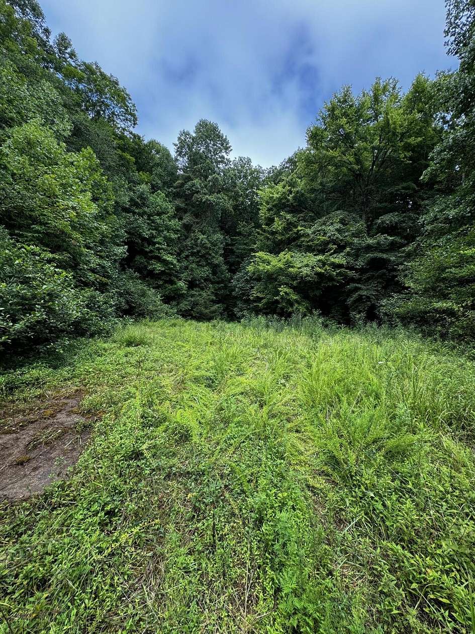 16.38 Acres of Land for Sale in Campton, Kentucky