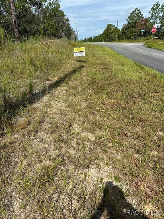 0.28 Acres of Residential Land for Sale in Citrus Springs, Florida