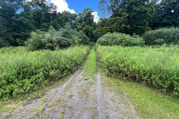 51 Acres of Mixed-Use Land for Sale in Saratoga Springs, New York