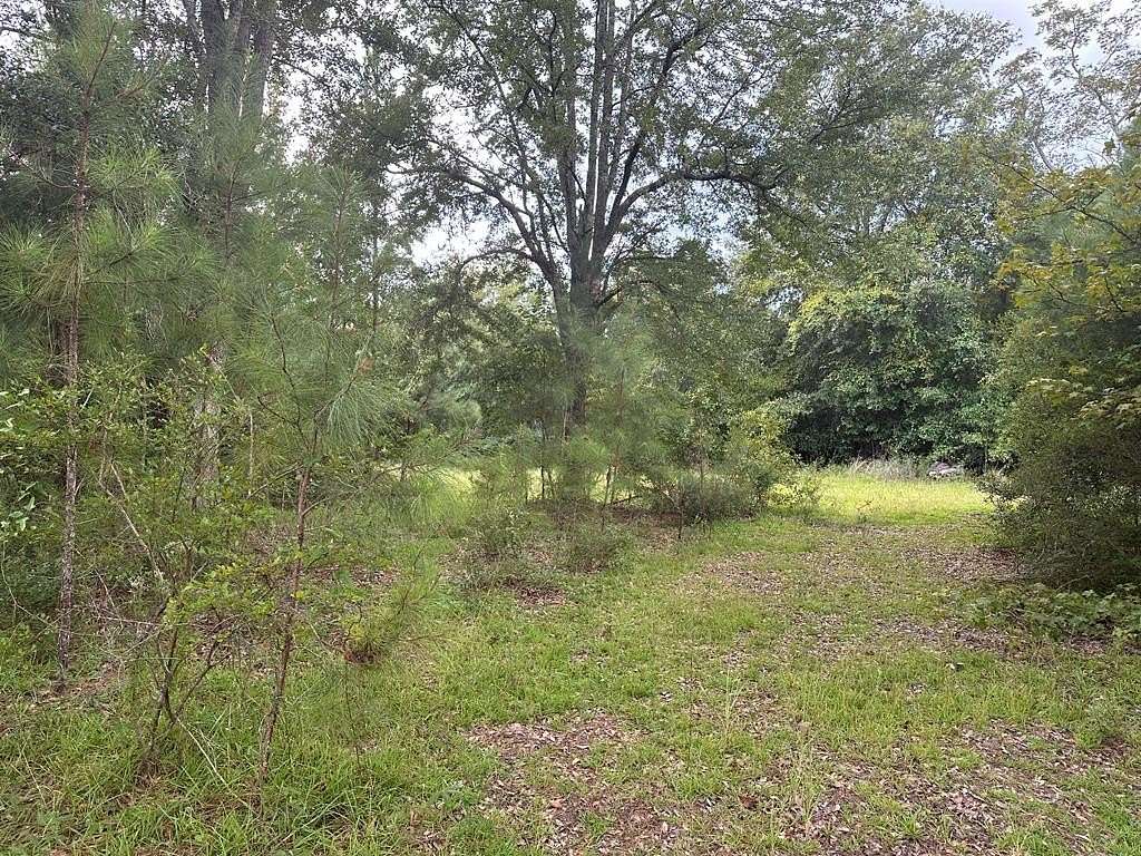 10 Acres of Recreational Land for Sale in Glenwood, Georgia