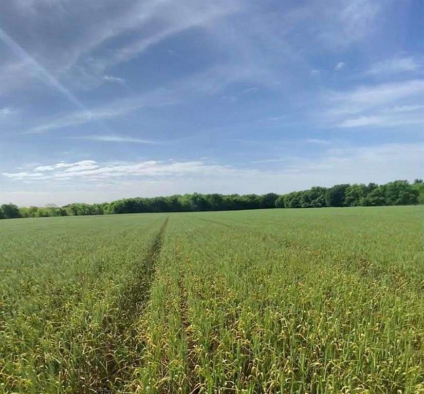 13.6 Acres of Land for Sale in Mertens, Texas