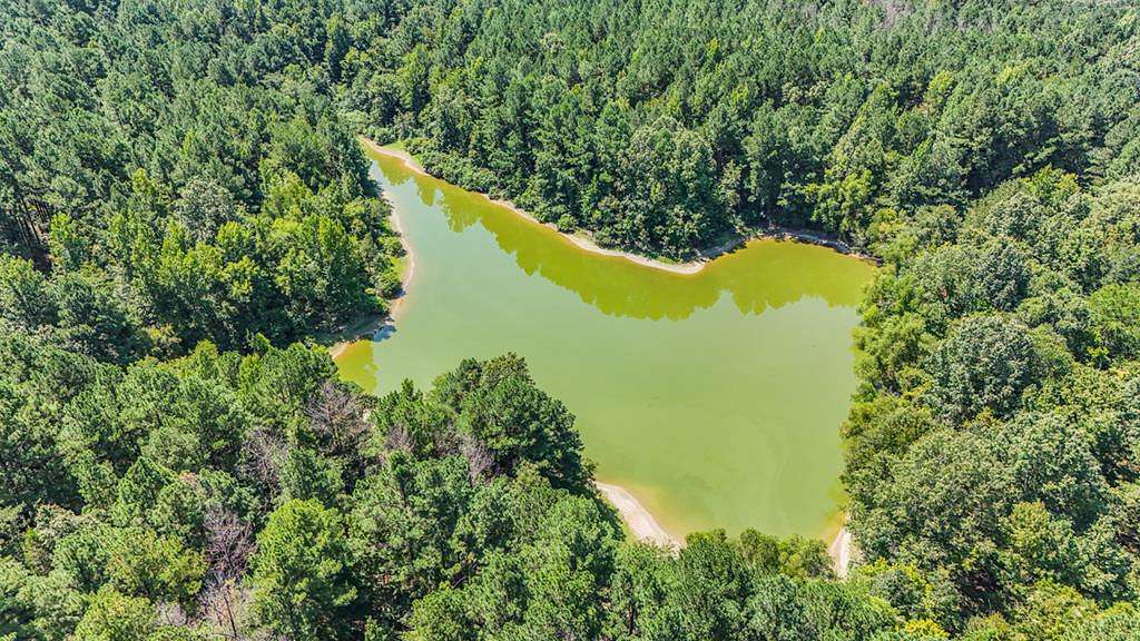 330 Acres of Recreational Land & Farm for Sale in Port Gibson, Mississippi