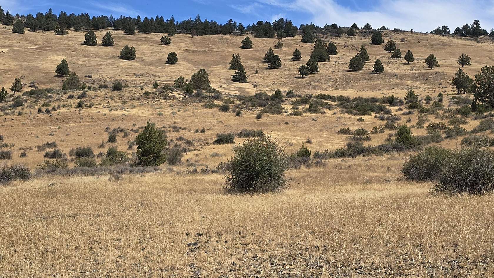 20 Acres of Land for Sale in Klamath Falls, Oregon