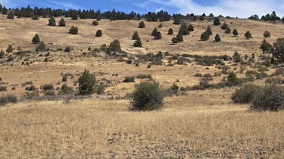 20 Acres of Land for Sale in Klamath Falls, Oregon