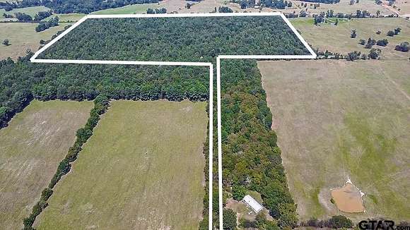 54.58 Acres of Recreational Land for Sale in Jacksonville, Texas