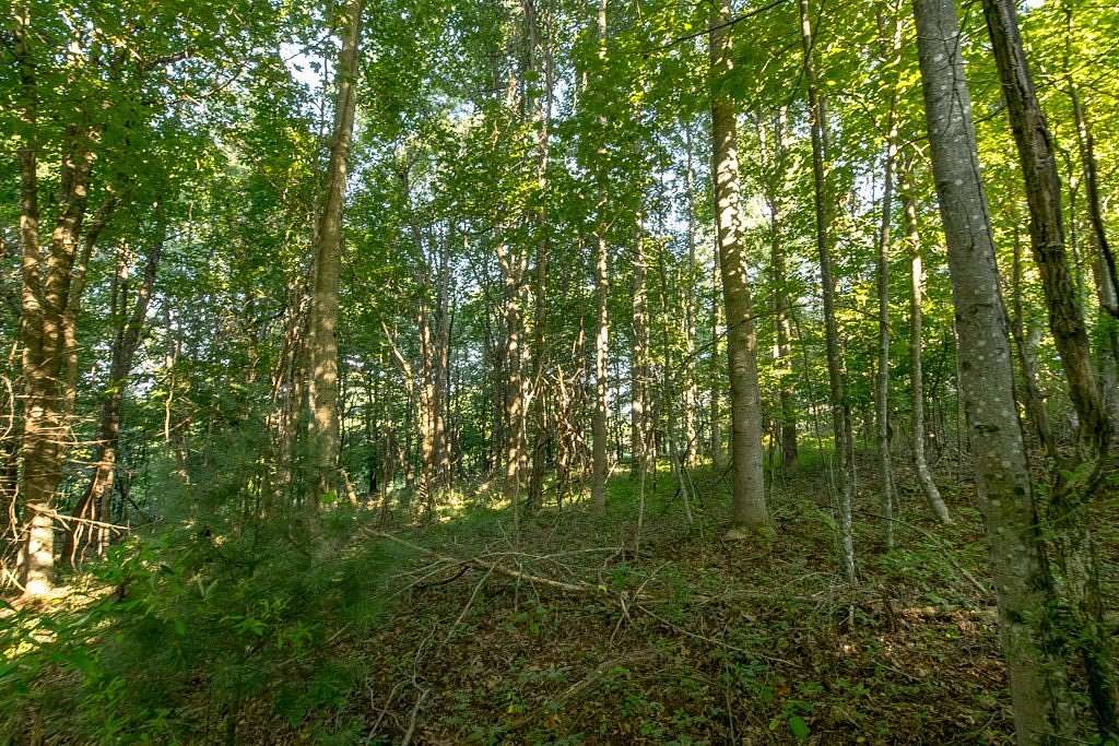 0.91 Acres of Residential Land for Sale in Fancy Gap, Virginia