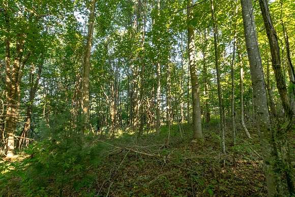 0.91 Acres of Land for Sale in Fancy Gap, Virginia