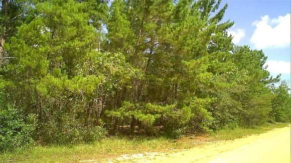 0.26 Acres of Residential Land for Sale in Interlachen, Florida