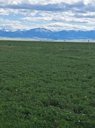 40 Acres of Agricultural Land for Sale in Fairfield, Montana