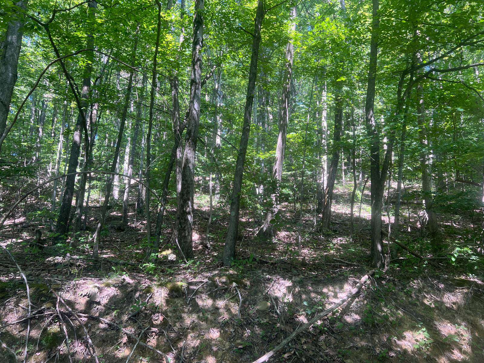 2.8 Acres of Residential Land for Sale in Sutton, West Virginia