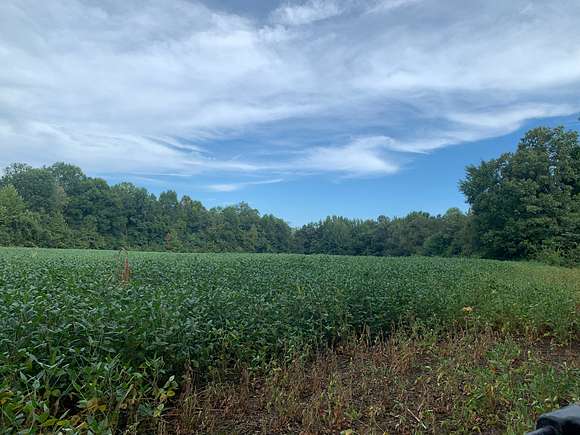 6 acres of open field next to 6 acre lake.