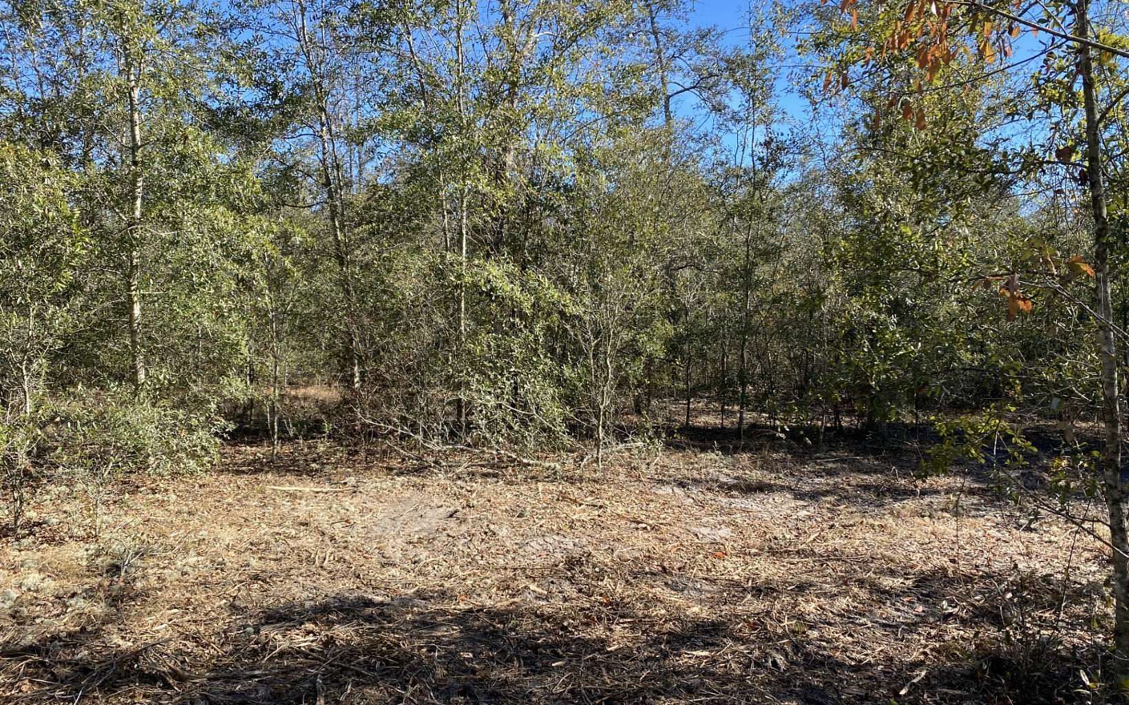 20 Acres of Land for Sale in Live Oak, Florida