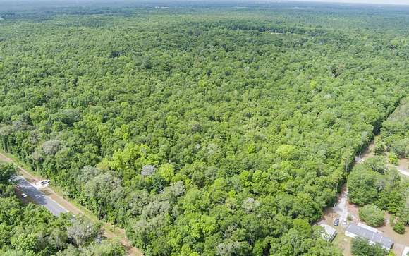 20 Acres of Land for Sale in Live Oak, Florida