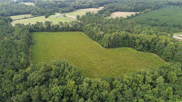 35.77 Acres of Recreational Land for Sale in Loris, South Carolina