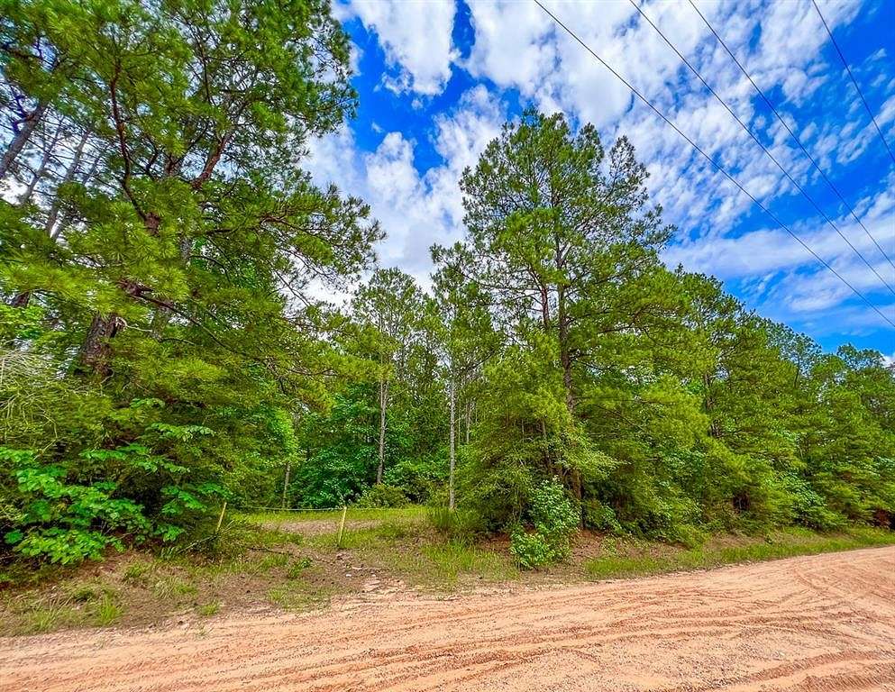 10 Acres of Residential Land for Sale in Corrigan, Texas