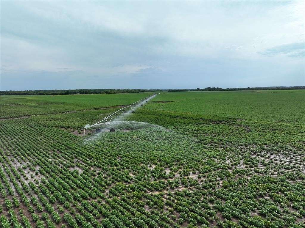 1,533.88 Acres of Agricultural Land for Sale in De Kalb, Texas