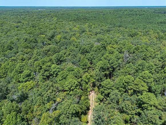 19.36 Acres of Recreational Land & Farm for Sale in Winnsboro, Texas