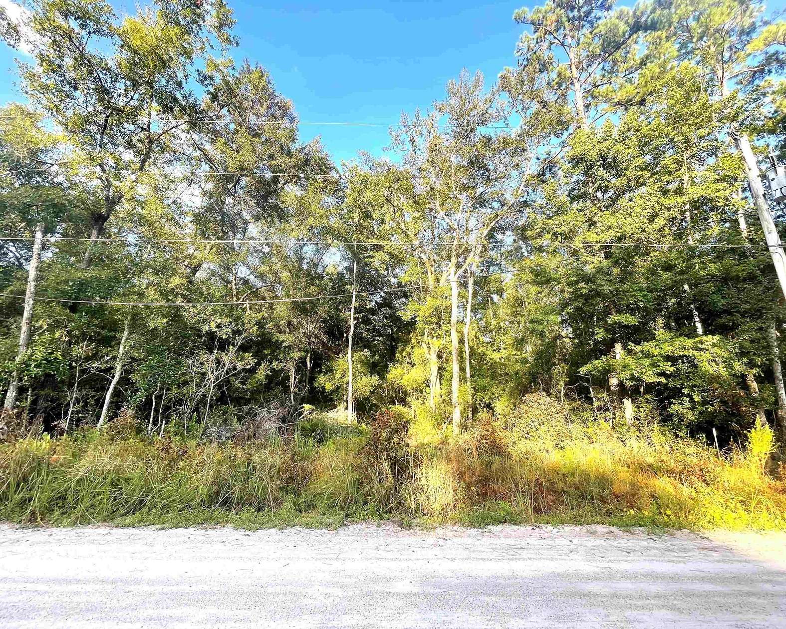 0.11 Acres of Residential Land for Sale in Crawfordville, Florida