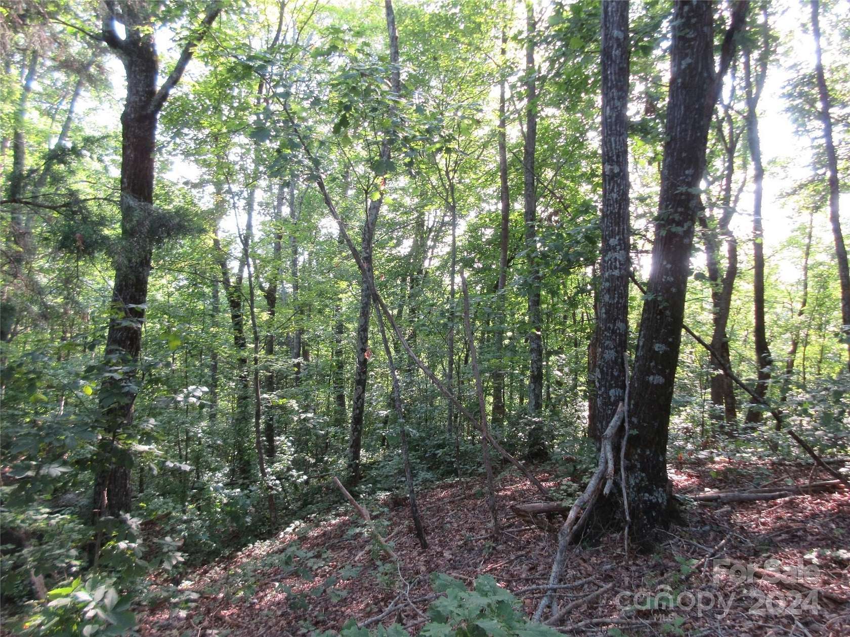 0.57 Acres of Residential Land for Sale in Bostic, North Carolina