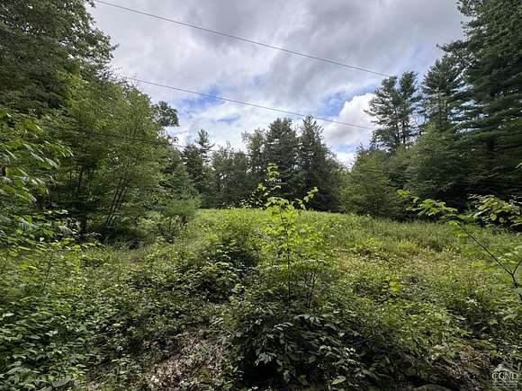 5 Acres of Land for Sale in Austerlitz, New York