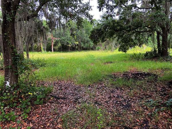 7 Acres of Land for Sale in Wimauma, Florida