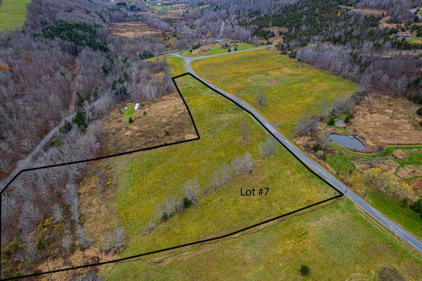 7.6 Acres of Residential Land for Sale in Lexington, New York