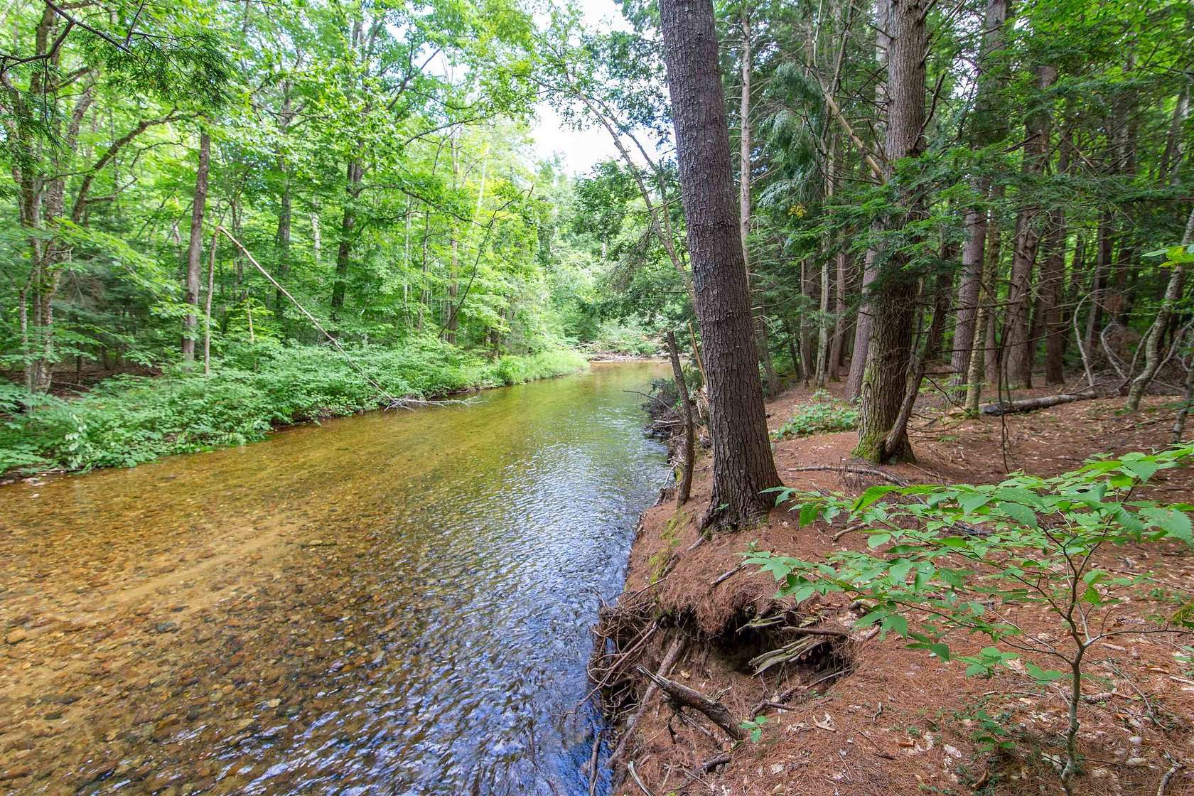 35 Acres of Recreational Land for Sale in Tamworth, New Hampshire