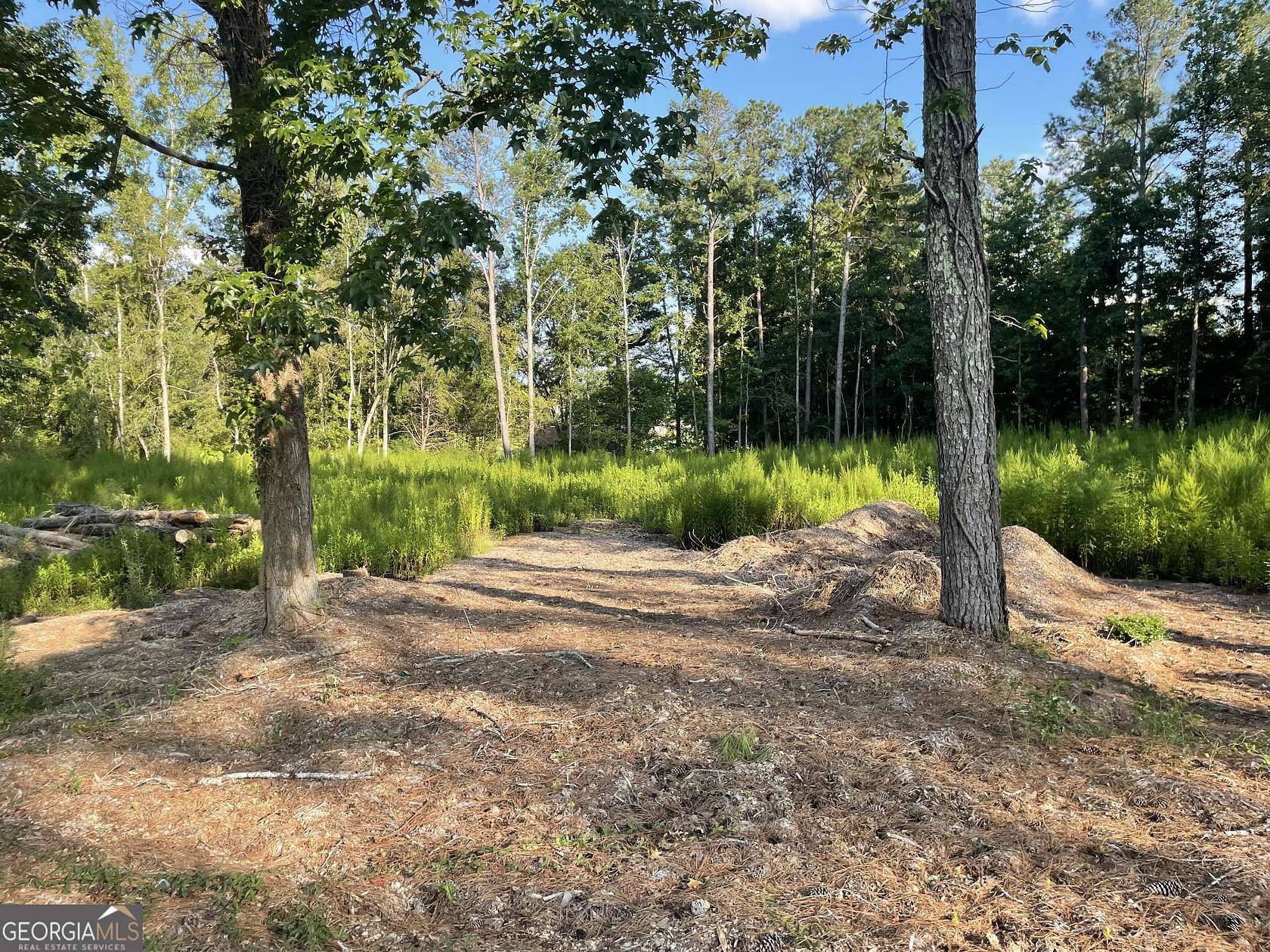 1.29 Acres of Residential Land for Sale in Griffin, Georgia