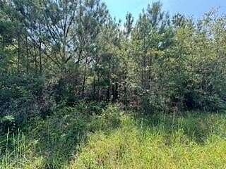 32 Acres of Land for Sale in Silver Creek, Mississippi