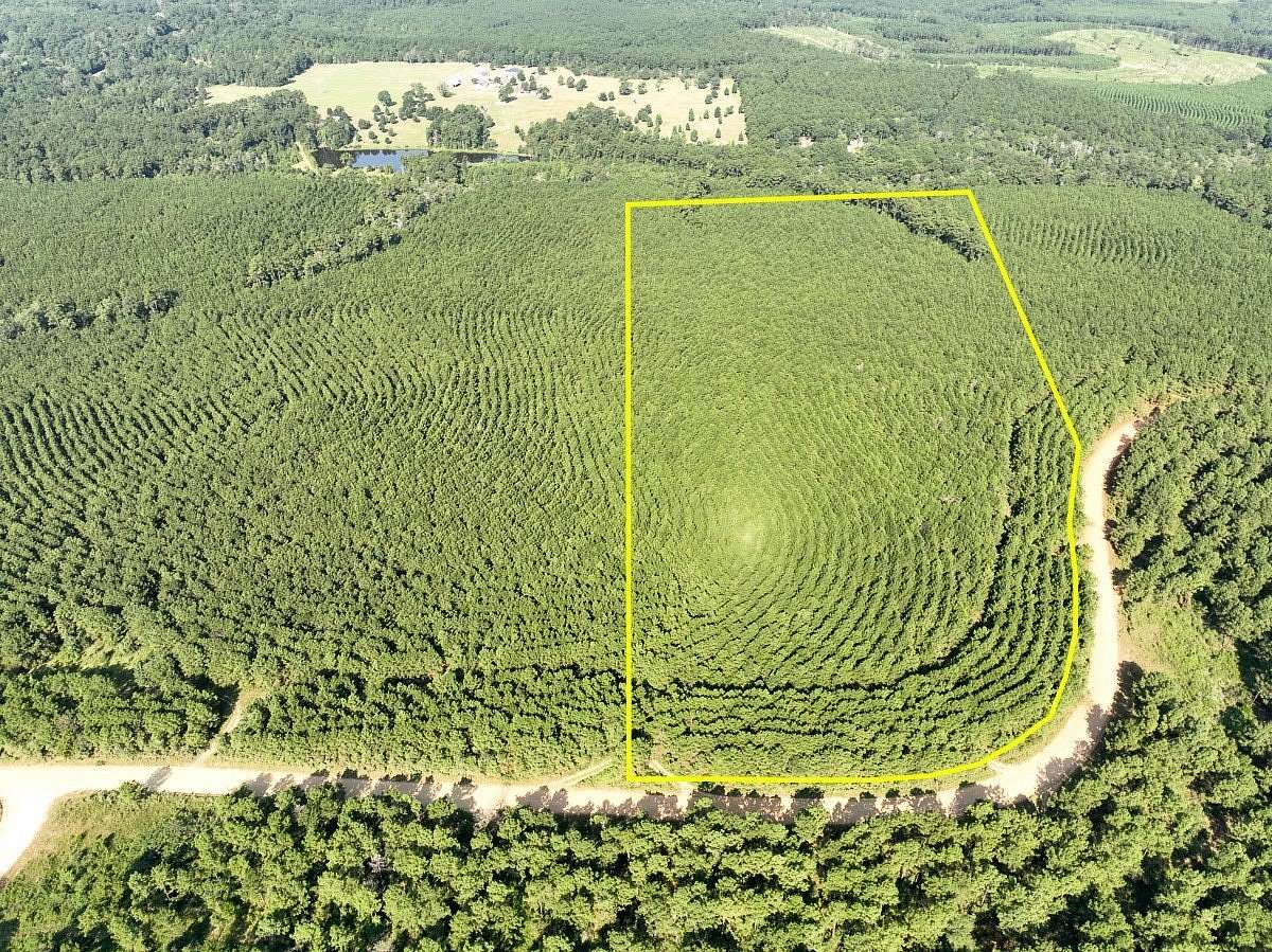 27 Acres of Recreational Land for Sale in Woodville, Texas