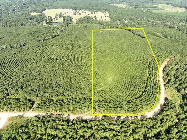 27 Acres of Recreational Land for Sale in Woodville, Texas