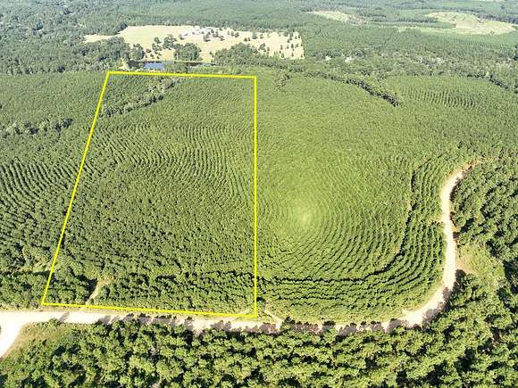 32 Acres of Recreational Land for Sale in Woodville, Texas