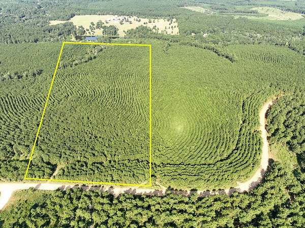 32 Acres of Recreational Land for Sale in Woodville, Texas