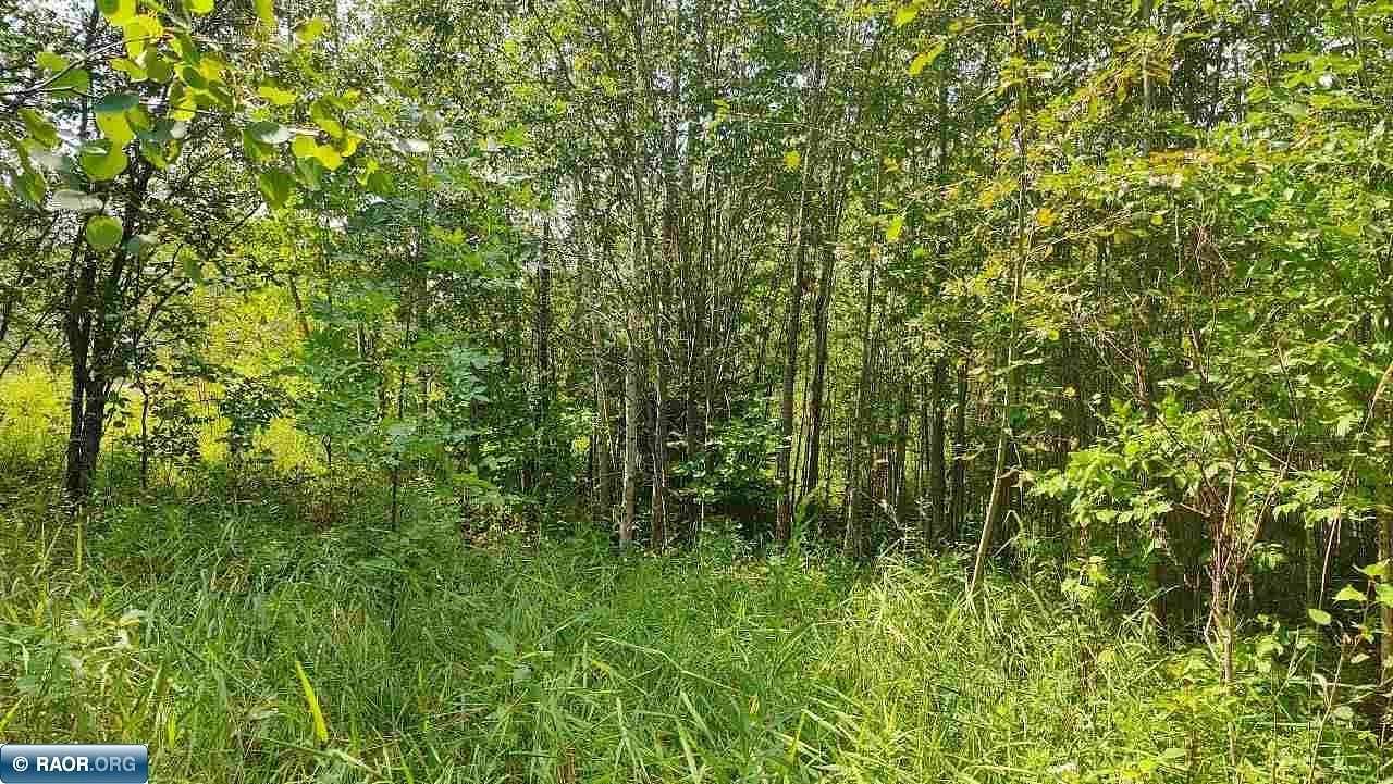 0.75 Acres of Residential Land for Sale in Orr, Minnesota