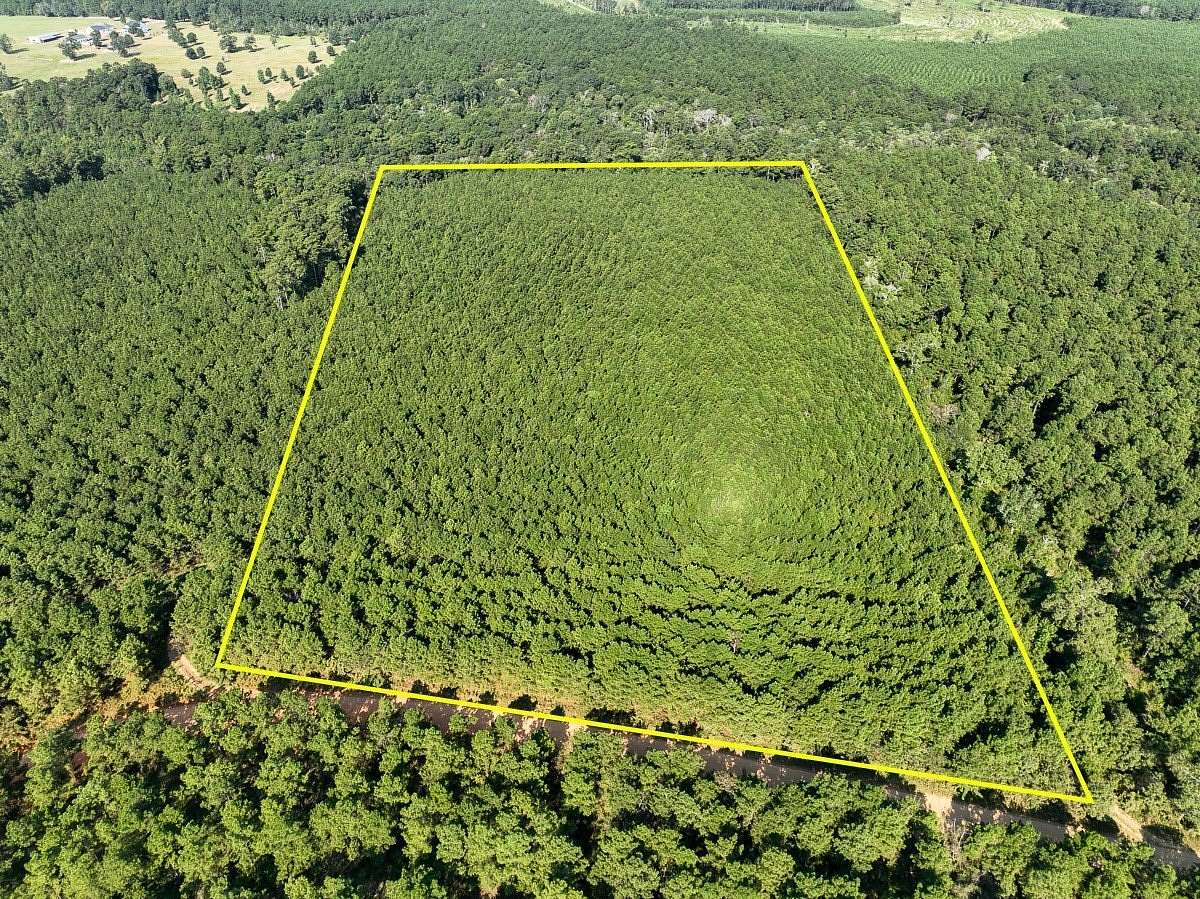 21 Acres of Recreational Land for Sale in Woodville, Texas