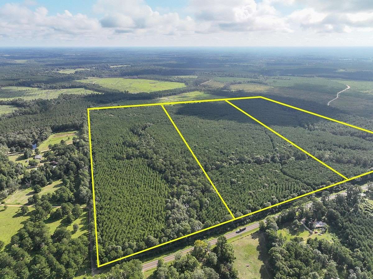 51 Acres of Recreational & Residential Land for Sale in Kirbyville, Texas
