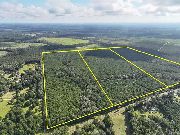 51 Acres of Recreational Land for Sale in Kirbyville, Texas