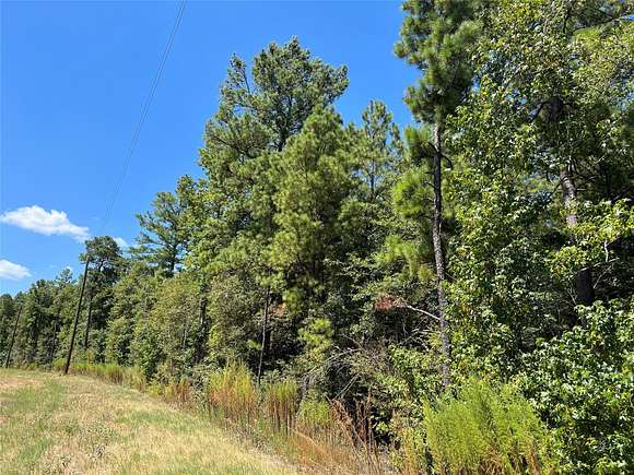 3 Acres of Residential Land for Sale in Huntsville, Texas